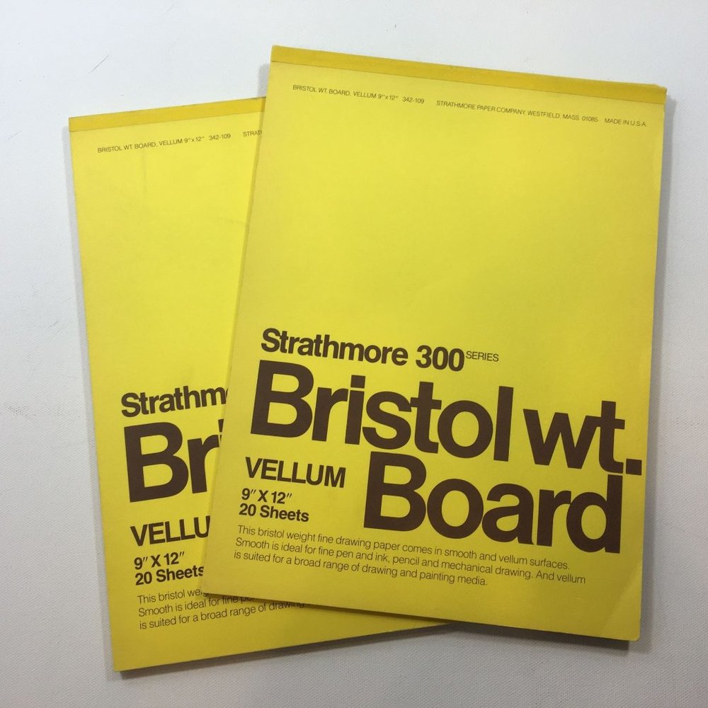 Strathmore 300 Series Bristol Wt. Board Vellum 9"x12" 20 Sheets Drawing Art Pain